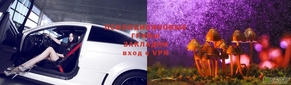 кокаин Бородино