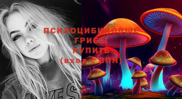 винт Бугульма