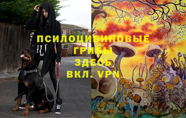 винт Бугульма